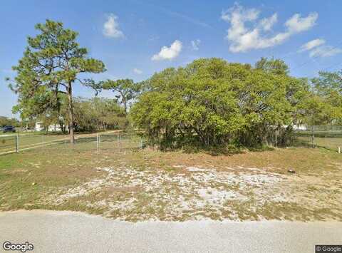 Morgan Horse, LAKE WALES, FL 33898