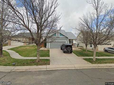 Goshawk, BRIGHTON, CO 80601