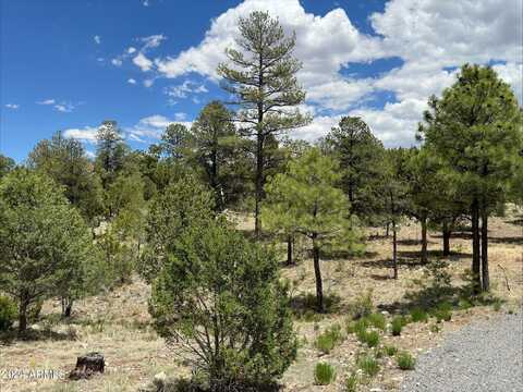 3337 SAWMILL RIDGE Loop, Heber, AZ 85928