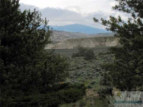 Nhn Cottonwood Road, Bridger, MT 59014