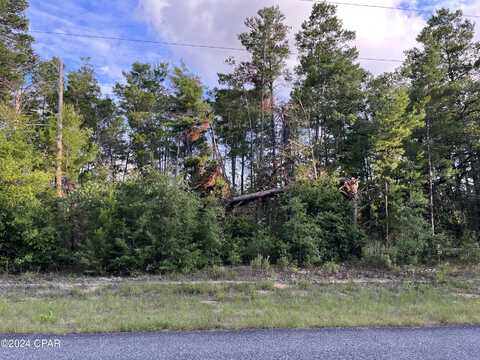 Lot 23 Dumajack Road, Chipley, FL 32428