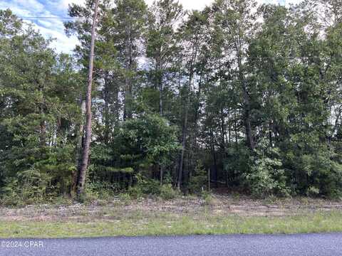 Lot 22 Dumajack Road, Chipley, FL 32428