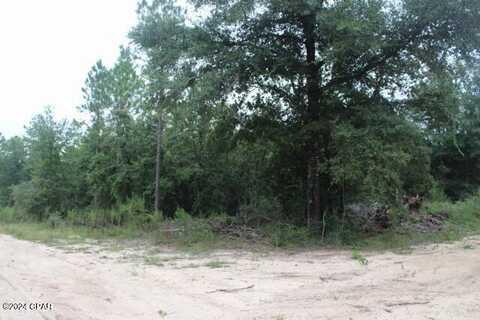 0 N Sally Jean Road, Defuniak Springs, FL 32433