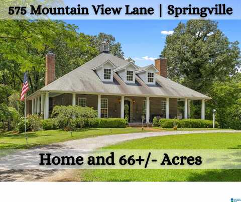 575 MOUNTAIN VIEW LANE, SPRINGVILLE, AL 35146