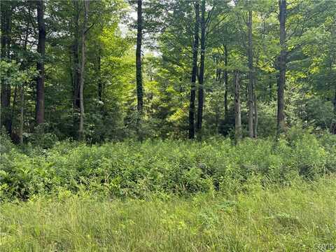 24845 Lot 4 Sanford Corners Road, Le Roy, NY 13616