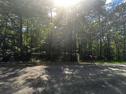 25 BOX SPRINGS SPUR, BOX SPRINGS, GA 31801