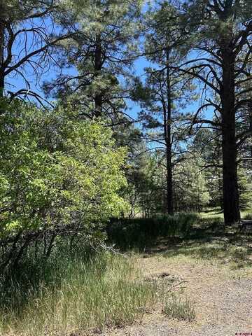 30 Knollwood Court, Pagosa Springs, CO 81147