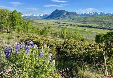 1190 Red Mountain Ranch Road, Crested Butte, CO 81224