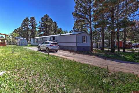 106 Bonanza Avenue, Pagosa Springs, CO 81147