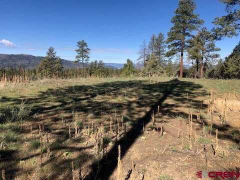 90 George's Court, Pagosa Springs, CO 81147