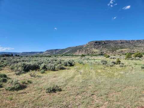 Lot 11 Conejos River Trails, Antonito, CO 81120