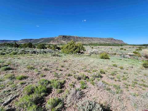 Lot 10 Conejos River Trails, Antonito, CO 81120