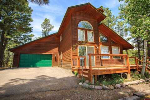 25 Balfour / 200 Capitan Court, Pagosa Springs, CO 81147