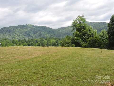 60 Gins Lane, Mars Hill, NC 28754