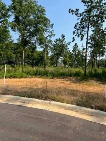 Lot 11 Sawtooth Street, Enterprise, AL 36330