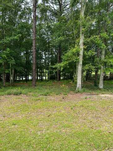 0.77 ac Private Road 1601, Chancellor, AL 36316