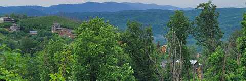 635 Wiley Oakley, Gatlinburg, TN 37738