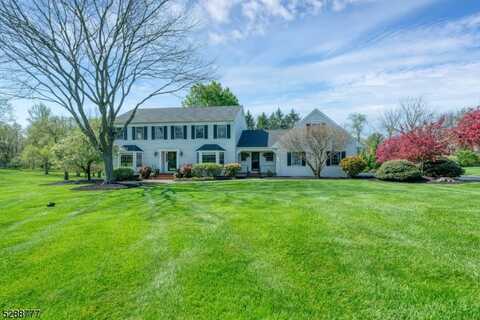8 Willow Dr, Chester, NJ 07930