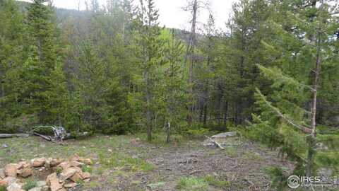 204 Sutiki Dr, Red Feather Lakes, CO 80545