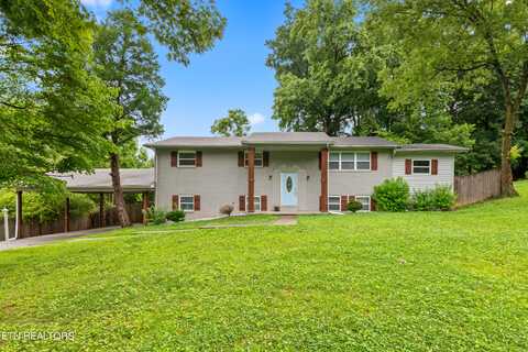 216 Peterson Rd, Knoxville, TN 37934