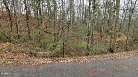 Lot 11 Peace Lane, Sevierville, TN 37876