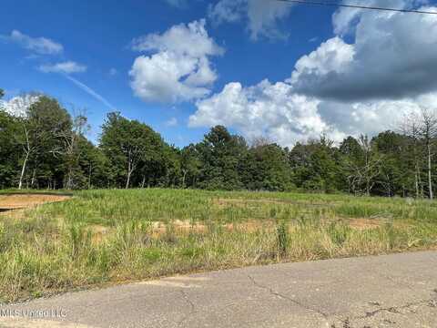 2964 Highwoods Drive, Byhalia, MS 38611