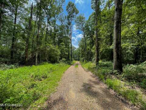 0 High Point Cove, Puckett, MS 39042