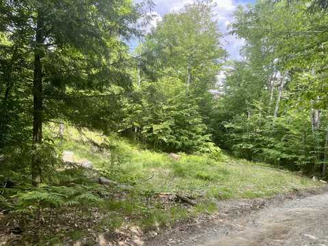 Lot 15a-1 Scammon Road, Greenville, ME 04441