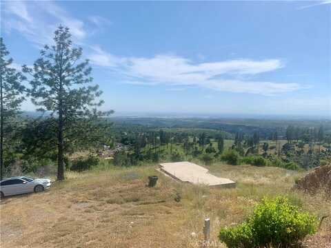 11505 Nelson Bar Road, Oroville, CA 95965