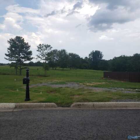 Lot 16 Stratford Circle, Arab, AL 35016