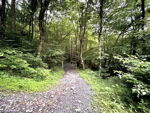 TBD W Raccoon Valley Road, Tunnelton, WV 26444