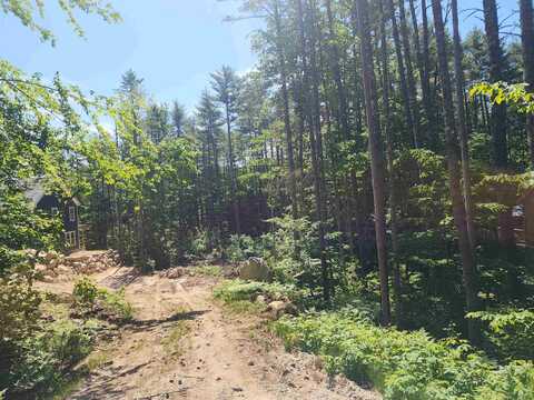 00 Tamarack Overlook, Conway, NH 03818