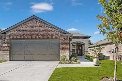 956 Freedom Lane, Little Elm, TX 76227