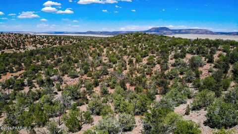 15-2c-5 Unnamed Rd (10 Acres), Seligman, AZ 86337