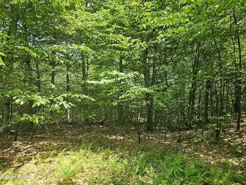 Lot 69 Stonegate Road, Equinunk, PA 18417