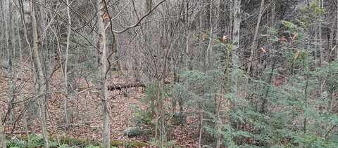 Lot 50 Riverfront Way, Gouldsboro, PA 18424