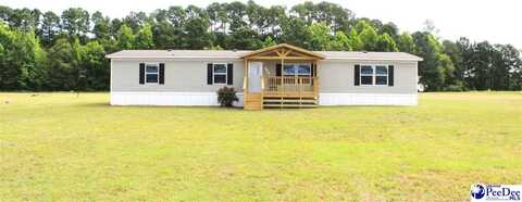 6614 Katie Drive, Latta, SC 29565