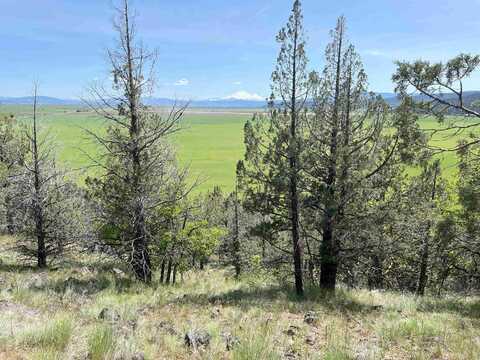 20 Acres Near Log House Rd, MacDoel, CA 96058