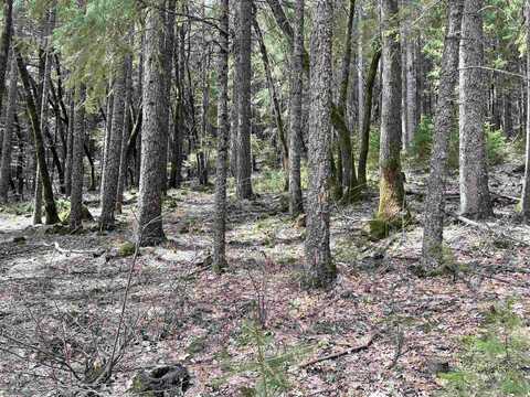 Lot 9,Block H Simpson St., Dunsmuir, CA 96025