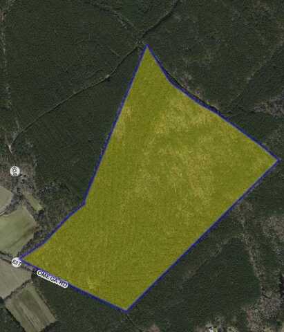 109 acre OMEGA RD, ONANCOCK, VA 23417