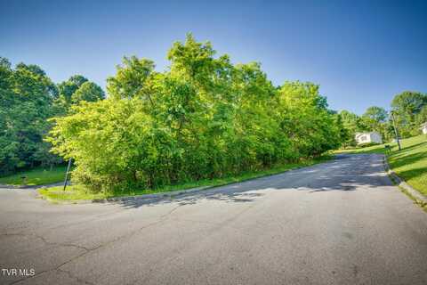 Lot 16 Morning Star Court, Kingsport, TN 37664