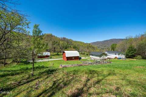 Tbd Hogum Hollow Road, Roan Mountain, TN 37687