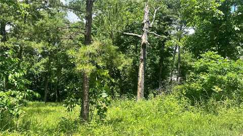 Lot 5 Old White River RD, Rogers, AR 72756