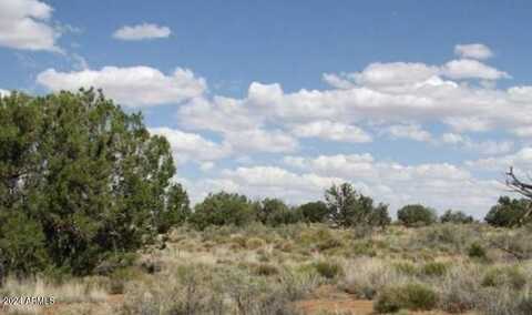 Tbd Chevelon Canyon Ranch Lot 363 --, Heber, AZ 85928