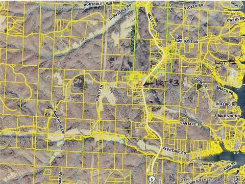 4 Lots Morgan County, Gravois Mills, MO 65084