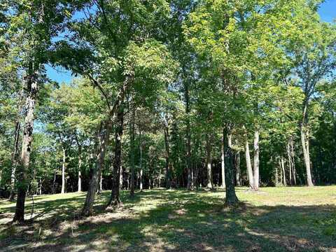 Lot 77 Lancaster Tubbs Creek Homesites, Mountain View, AR 72560