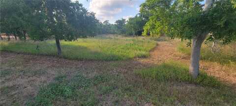 369 Mission River Oaks Road, Woodsboro, TX 78393