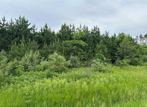 10 Acres E Townline Lk, Harrison, MI 48625