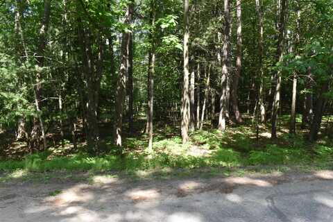 Lot 196 Princess, Gladwin, MI 48624