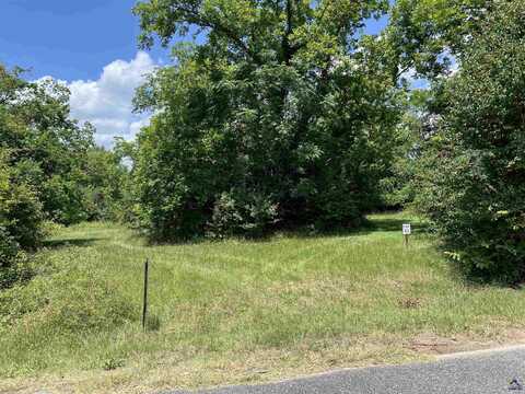 Lot 43 Racetrack, Cochran, GA 31014